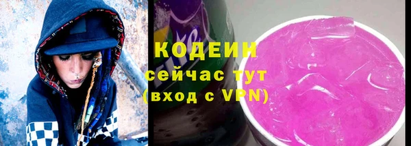 дмт Осинники